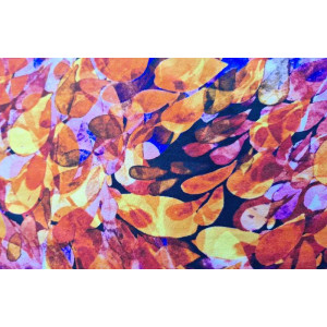 10cm Viscosejersey buntes Sommermuster BLÄTTER BUNT  (Grundpreis €10,00/m)